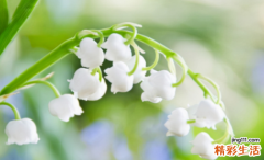 最专一最宠老婆的星座 12星座谁最疼爱自己的老婆