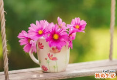 人品好到爆的五大星座 十二星座人品最好星座