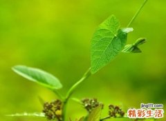 三个字的个性网名，好听的3个字微信昵称大全