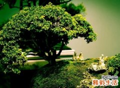 两个字稀有网名，很有意境的二字罕见古风昵称