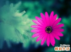 带萱字的唯美网名，可爱有仙气的萱字抖音昵称