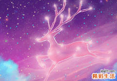 摩羯座女生和什么星座男生最配 摩羯座女生喜欢一个人的表现