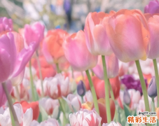 和巨蟹男冷战必赢方法 巨蟹男冷战怎么对付