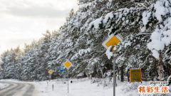 狮子座上升星座查询表 狮子座上升星座怎么看