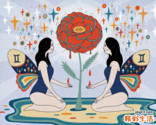 双子座最可怕的一面 双子座和什么座最配