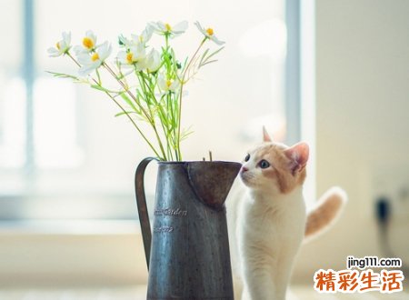 八字地支相冲很严重吗
