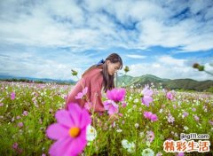 哪些八字的人适合当走婚族