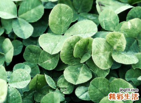 抖音上很潮很火的昵称,2021抖音潮流网名