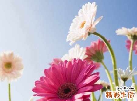 二个字简约古风网名,朴素简洁的两字微信昵称