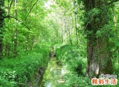 梦见找不到路预示什么，做梦梦到找不到原来的路了