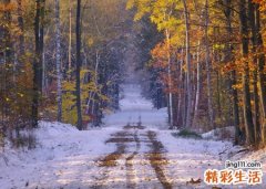 梦见找不到回家的路有什么预兆，做梦梦到向别人问回家的路