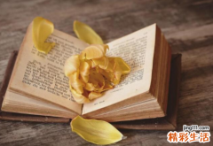 摩羯座和射手座配不配摩羯座和什么座最配