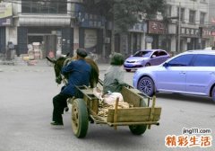 梦见驴拉车是什么意思，做梦梦到别人赶着毛驴车