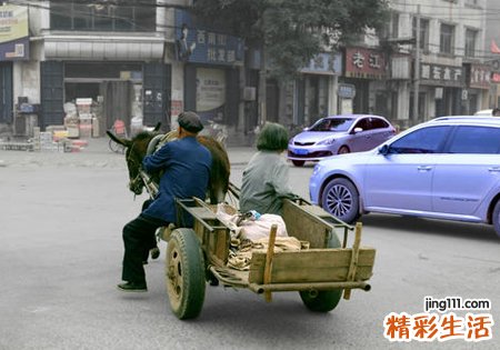 梦见驴拉车是什么意思，做梦梦到别人赶着毛驴车