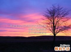 安静淡雅的气质网名，有诗意超凡脱俗的微信名字