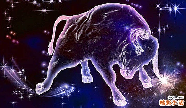金牛座是什么象星座 金牛座与什么星座最配