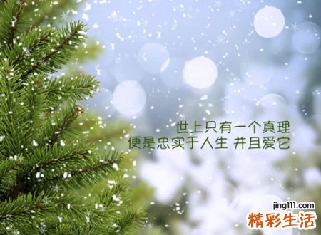 有深意让人过目不忘的唯美昵称，复古有文化的网名