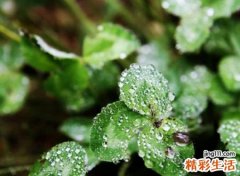 带雨字好听寓意好的网名，唯美有诗意带雨字的微信名字