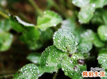 带雨字好听寓意好的网名，唯美有诗意带雨字的微信名字