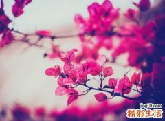 6个字古风唯美的微信昵称，伤感好听的六个字网名