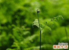 古风诗意六字唯美网名，伤感好听的6个字网名