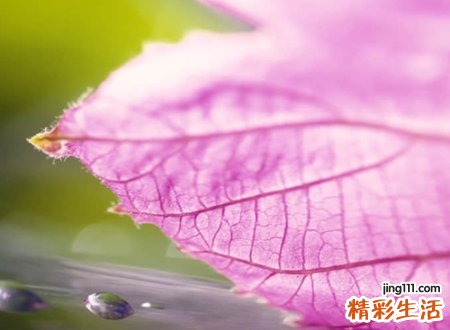 5字古风古韵的唯美名字，五字诗意淡雅的小清新网名
