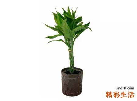 最旺财旺运两个字的微信名字，2个字吉祥聚财的好听网名