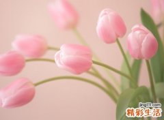 清新淡雅的诗意网名，唯美小清新的qq个性名字