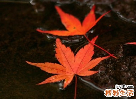 古风古韵的微信遗风网名，优雅古典的唯美个性名字