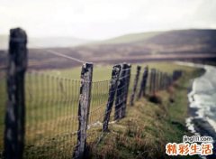 禅意网名大全，静心禅意的唯美古风昵称