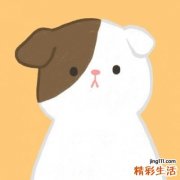 上升星座用计算器要怎么算 上升星座怎么算