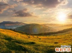 带晨字好听的网名大全，有气质带晨字的唯美名字