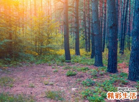 像诗一样流畅有气质的网名，唯美高雅的古风名字