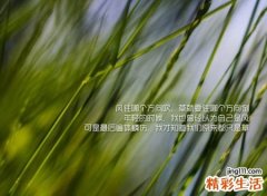 好听不俗气有内涵的网名，人生感悟经典昵称