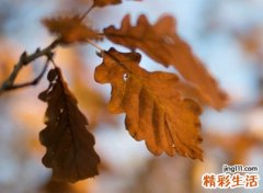 简单有格调的个性昵称，简洁唯美有意境的微信网名