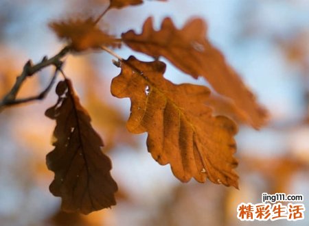 简单有格调的个性昵称，简洁唯美有意境的微信网名