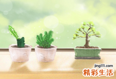 10月12日是什么星座,农历10月12日是什么星座