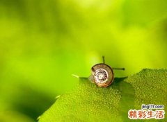 富有诗意的古风唯美名字，文艺怀旧风微信网名