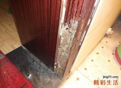 家里有白蚁意味着什么