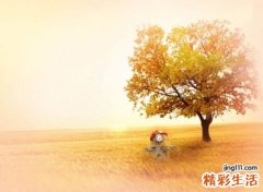 快手最流行的热门昵称，快手最吸粉的火爆网名