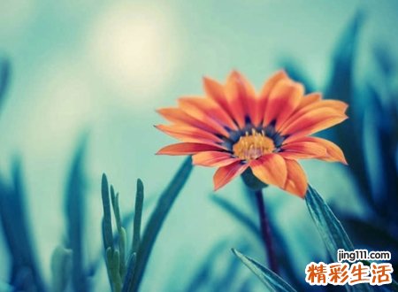 古香古色的唯美古风名字,自带仙气的优雅网名