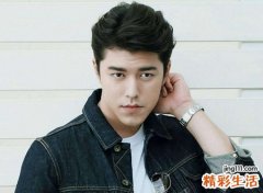 91年属什么生肖，1991年男属羊是啥命