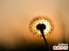 看起来阳光开朗的微信名字，一看就有气质的出众网名