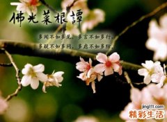 2字古风有诗意的唯美名字，罕见有意境的两个字网名