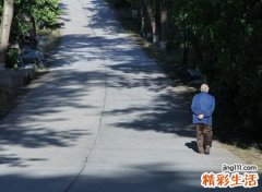 63年的兔男人感情，1963年属兔男会离婚吗