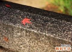 80后喜欢的经典网名，最新热门80后微信个性名字