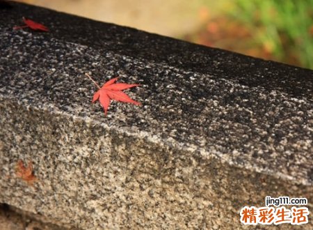 80后喜欢的经典网名，最新热门80后微信个性名字