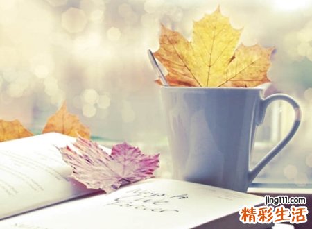 简单有气质的森系网名,成熟低调的唯美昵称