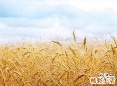 看透人心的经典昵称，看清了社会现实的毒辣网名