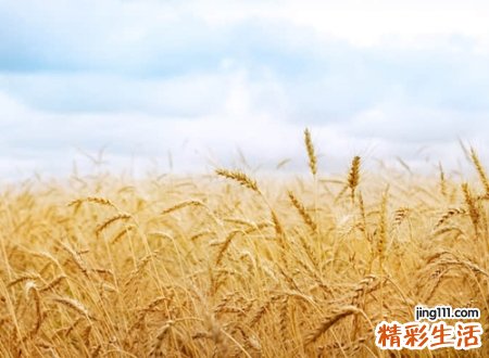 看透人心的经典昵称，看清了社会现实的毒辣网名